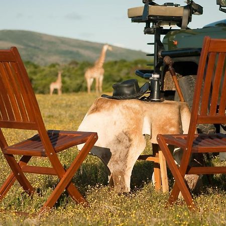 Temba Private Game Reserve Grahamstown Exteriör bild