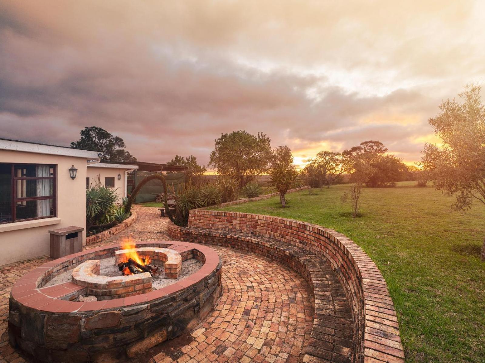 Temba Private Game Reserve Grahamstown Exteriör bild